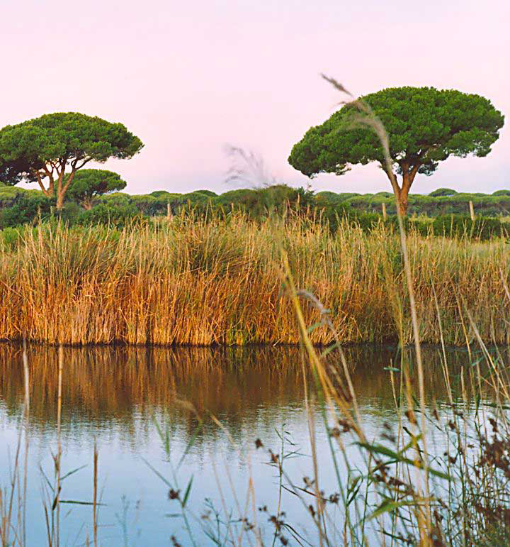parque_uccellina_maremma